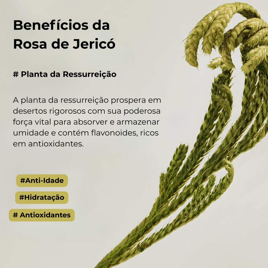 Máscara de Olhos Collagen Jericho Rose